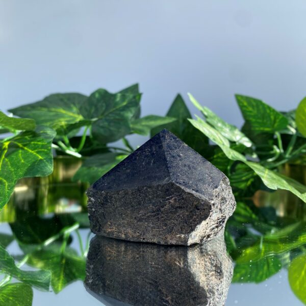 black tourmaline rough tower crystal on mirror surface with green leaves behind it