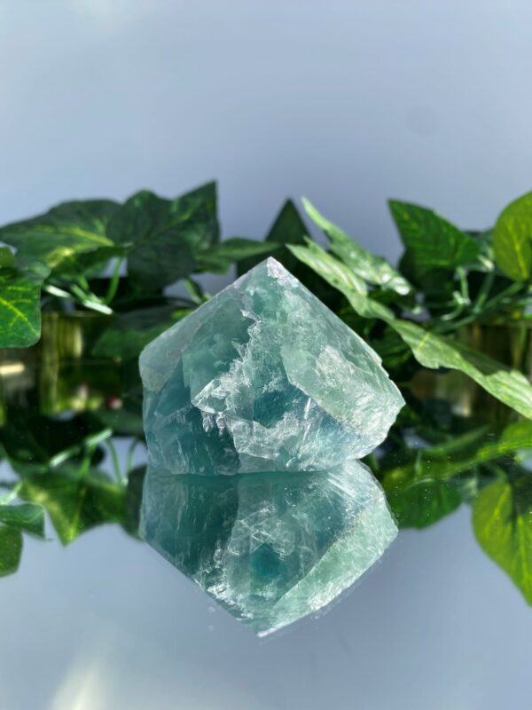green fluorite rough tower crystal on mirror surface with green leaves behind it