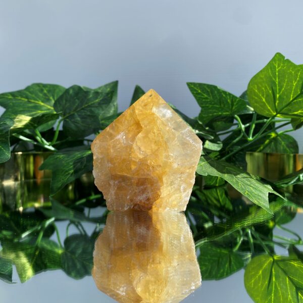 golden healer rough tower crystal on mirror surface with green leaves behind it