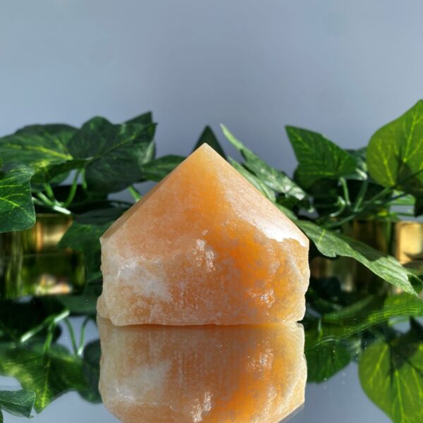 orange calcite rough tower crystal on mirror surface with green leaves behind it