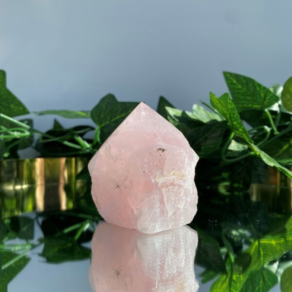 rose quartz rough tower crystal on mirror surface with green leaves behind it
