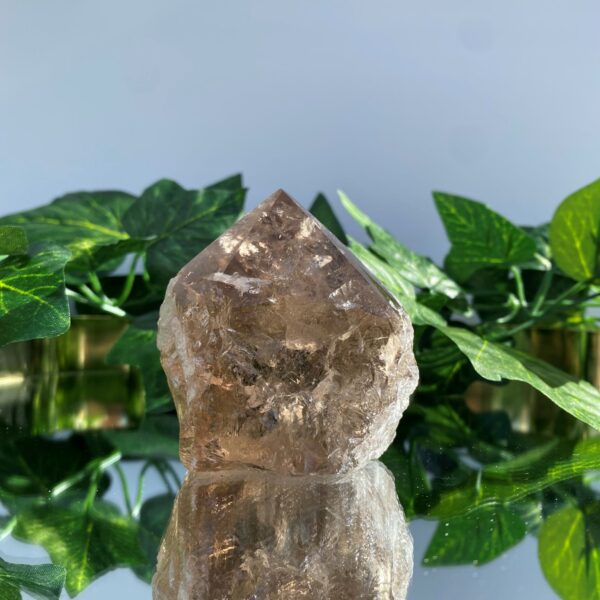 smoky quartz rough tower crystal on mirror surface with green leaves behind it