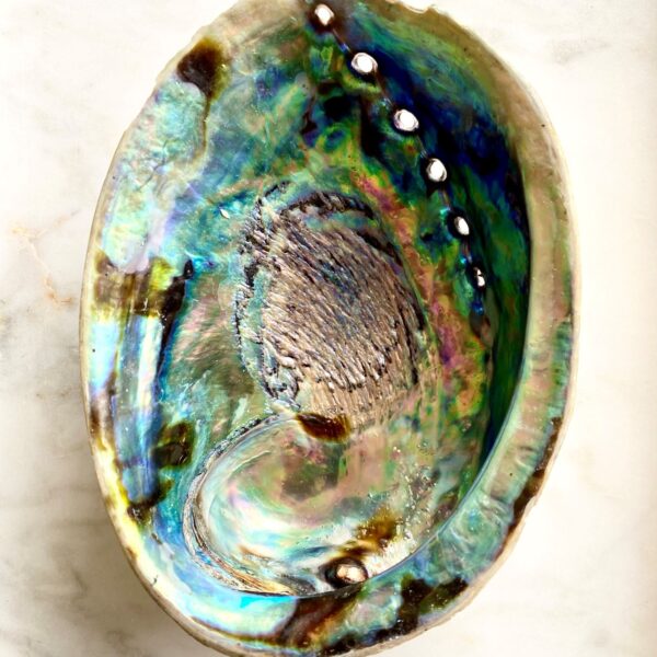 abalone shell on a marble surface